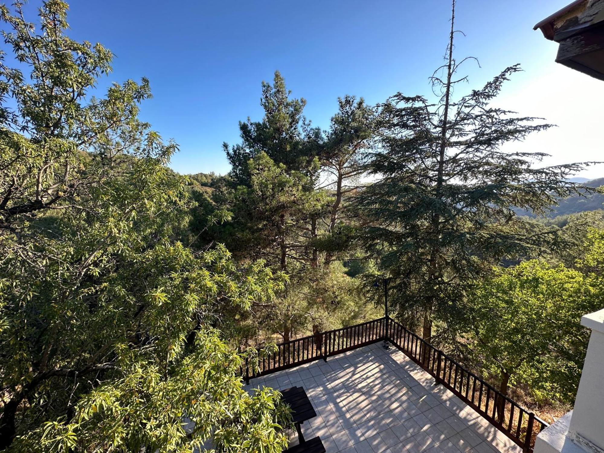 Forest Park Дом отдыха