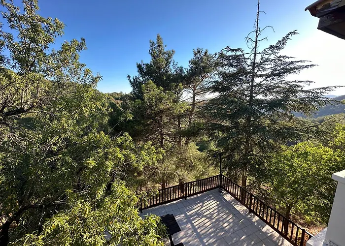Forest Park Villa