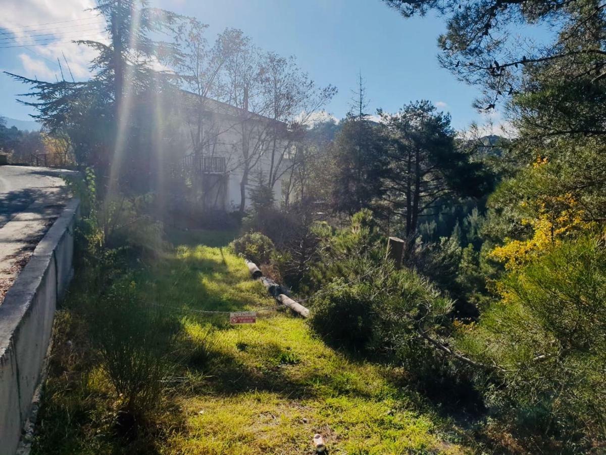 Forest Park Dom wakacyjny Lemithou